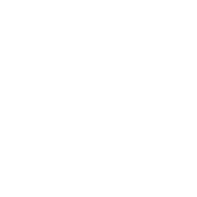 混血數據icon